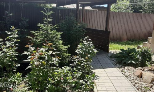 МИРРА в Иваново - 6