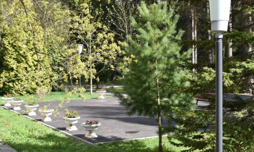 «Дом-интернат для ветеранов «Лесное» цены